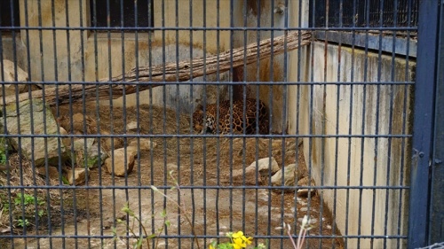 20150420 11411401.JPG