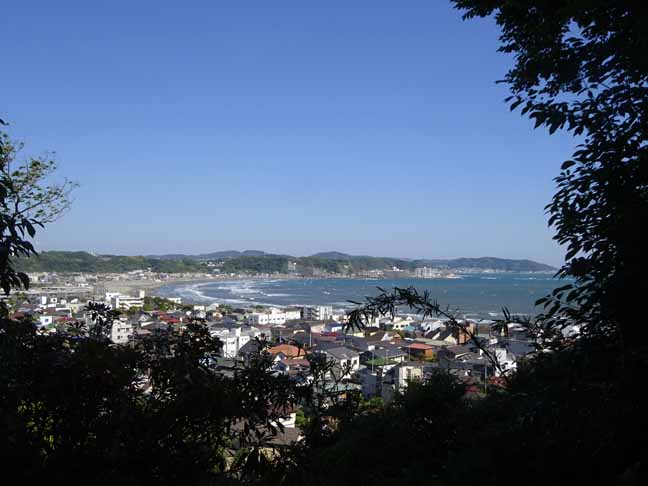 長谷寺 (8).JPG