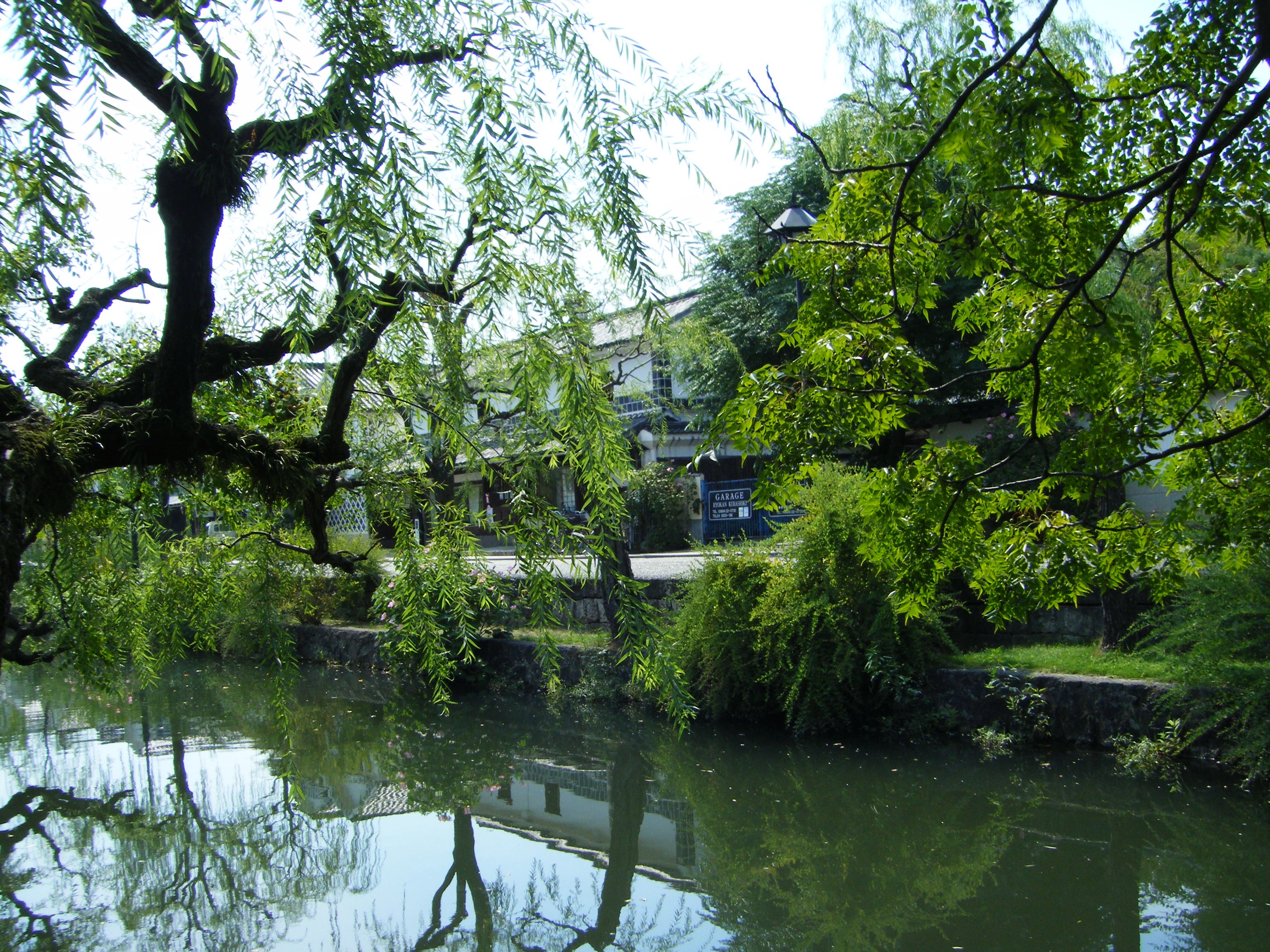 DSCF0622.jpg