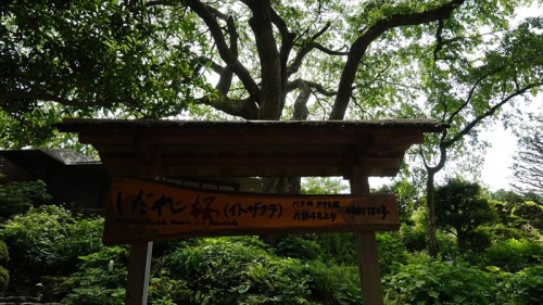 20150525 11055401.JPG