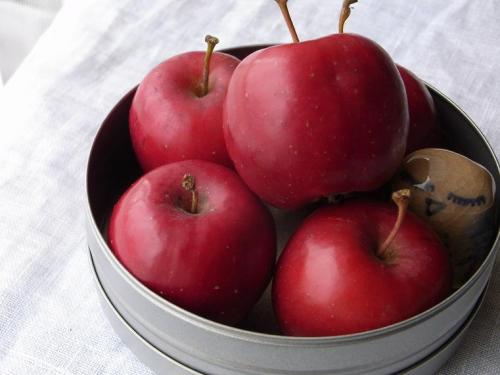 姫りんご.JPG