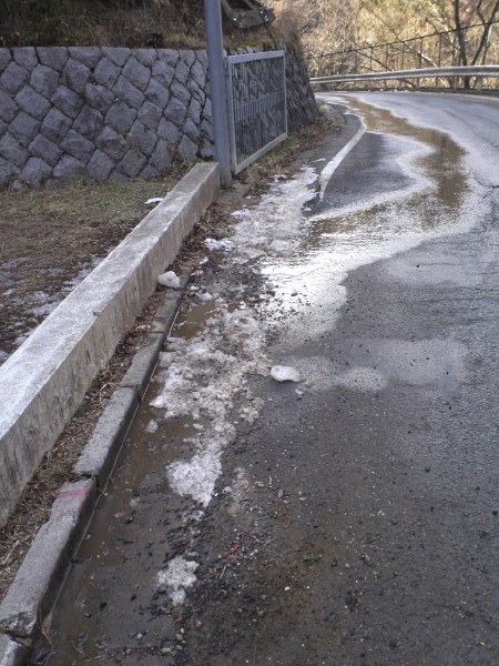 SN3P0501.JPG