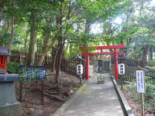 20141020 11263501.jpg