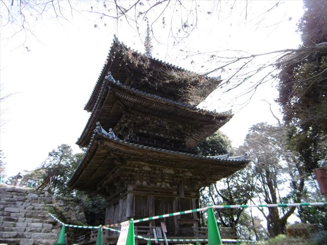 P1010140_R.JPG