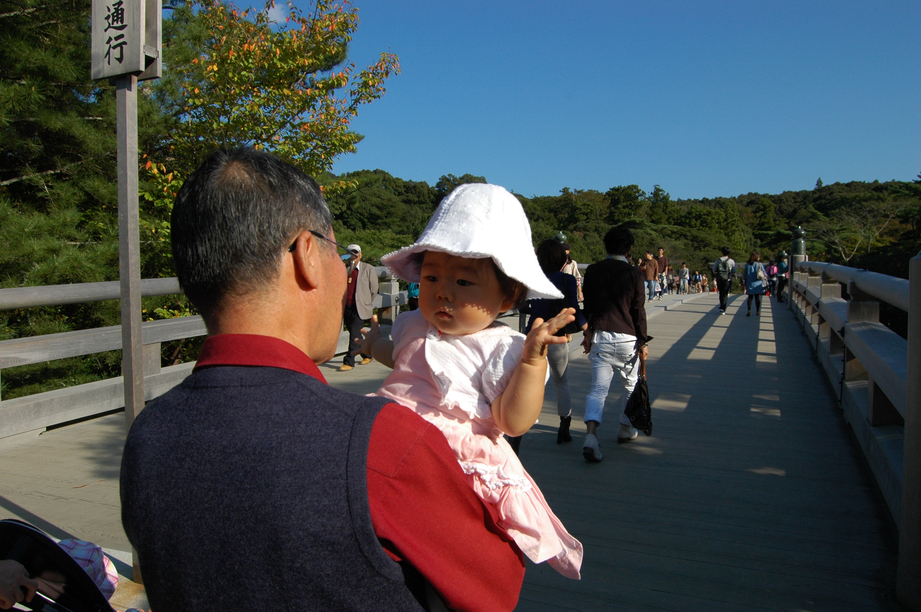 DSC_1350.JPG