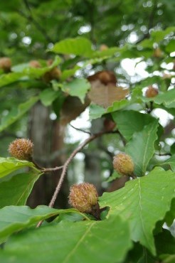 150823-10.jpg