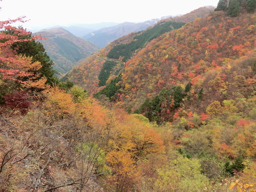 林道逆川線