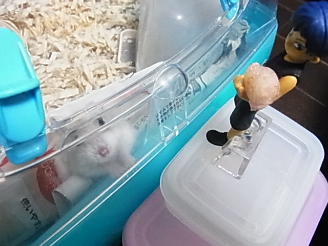 2014_07070036.JPG