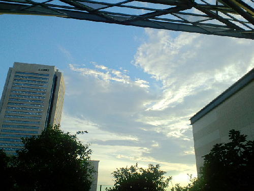 CA3C5498.JPG