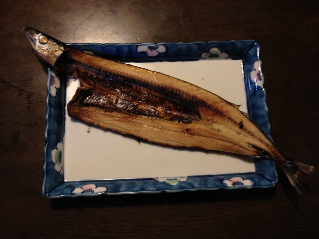 IMG_2466 (640x480).jpg