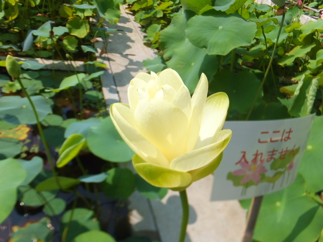 DSCF2759.JPG