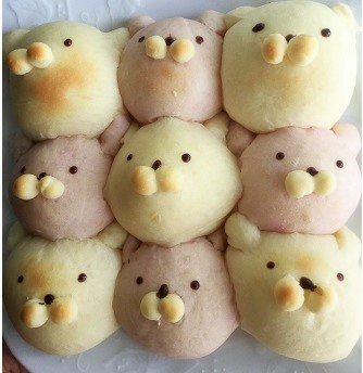 うさまるちぎりパン 今年も咲いたよ コーヒーの花 晴れ ときどき手作り 楽天ブログ