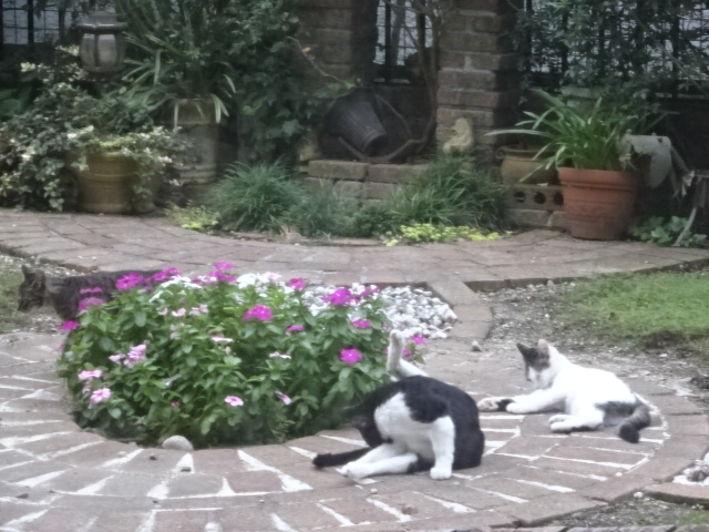 DSC07737.JPG