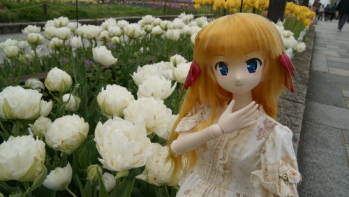 木曽三川公園チューリップ  瑛里華1.jpg