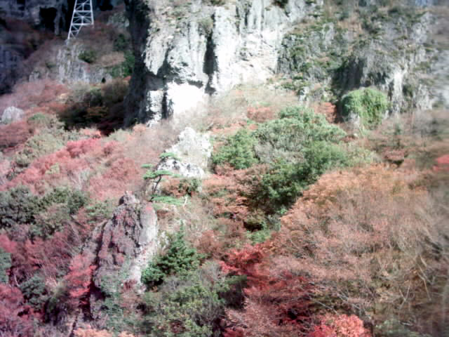 C:\fakepath\shodoshima045.jpg