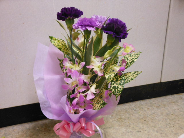 DSCN2114.JPG