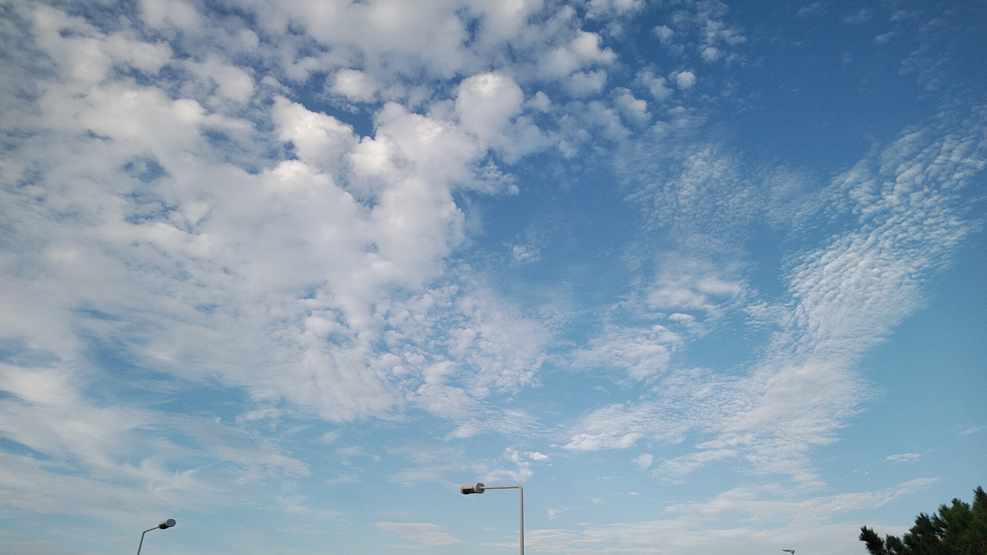 20230910  DSC_0001X.jpg