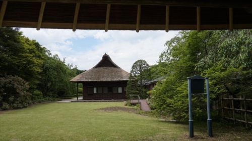 20150525 11215801.JPG