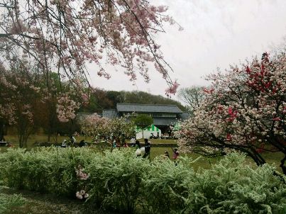 ☆奥の建物では作品展.JPG