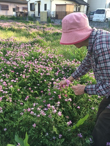 IMG_1392 - コピー.JPG