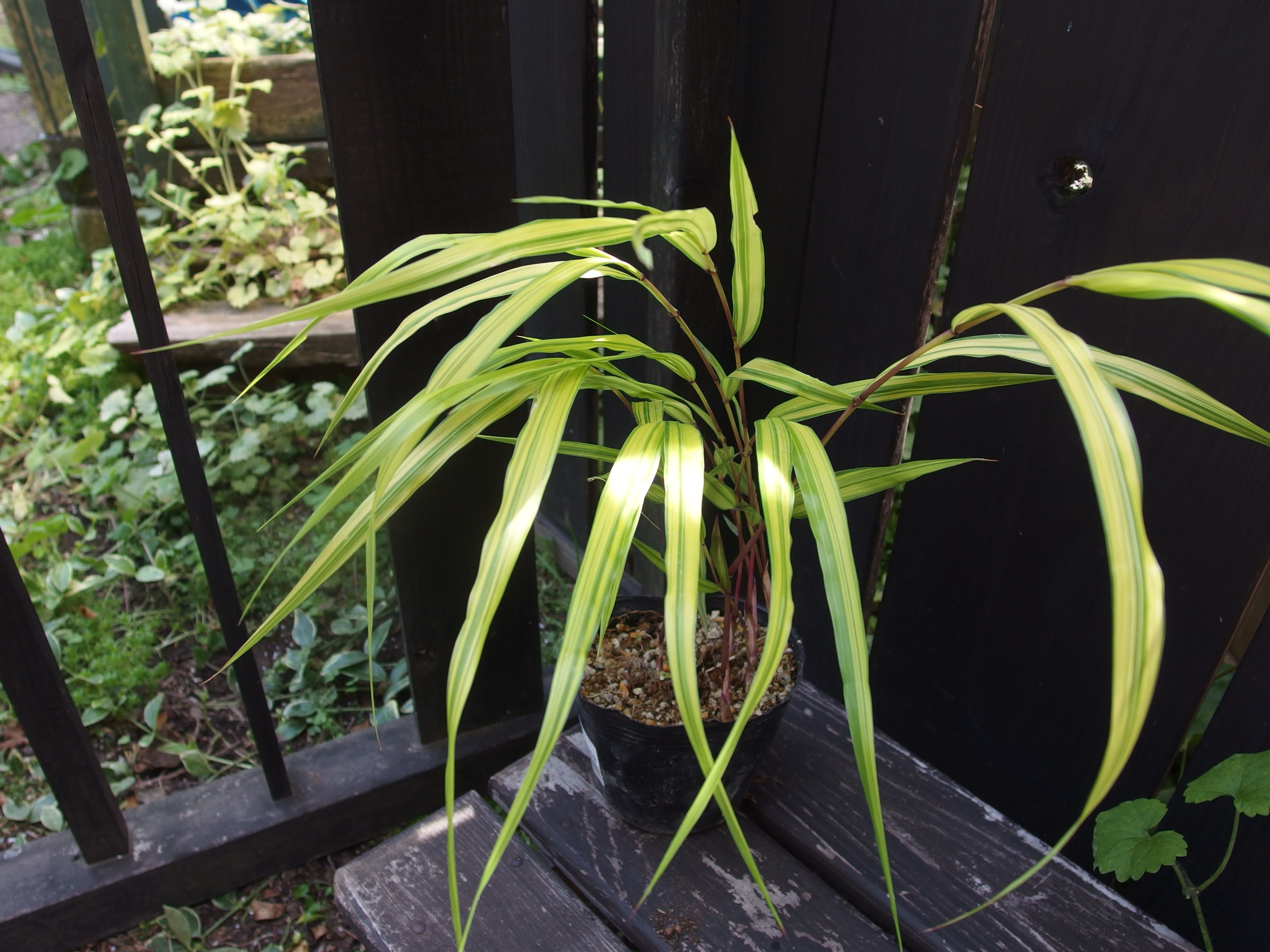 2015-05-30 13.17.00.jpg