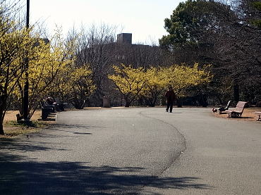 140306-06.jpg