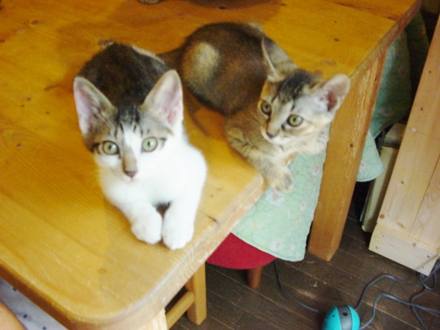 DSC09064.JPG