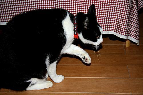 img_mimi_9890.jpg