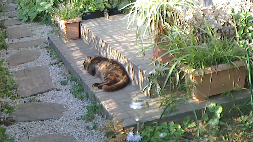NEC_0081.JPG