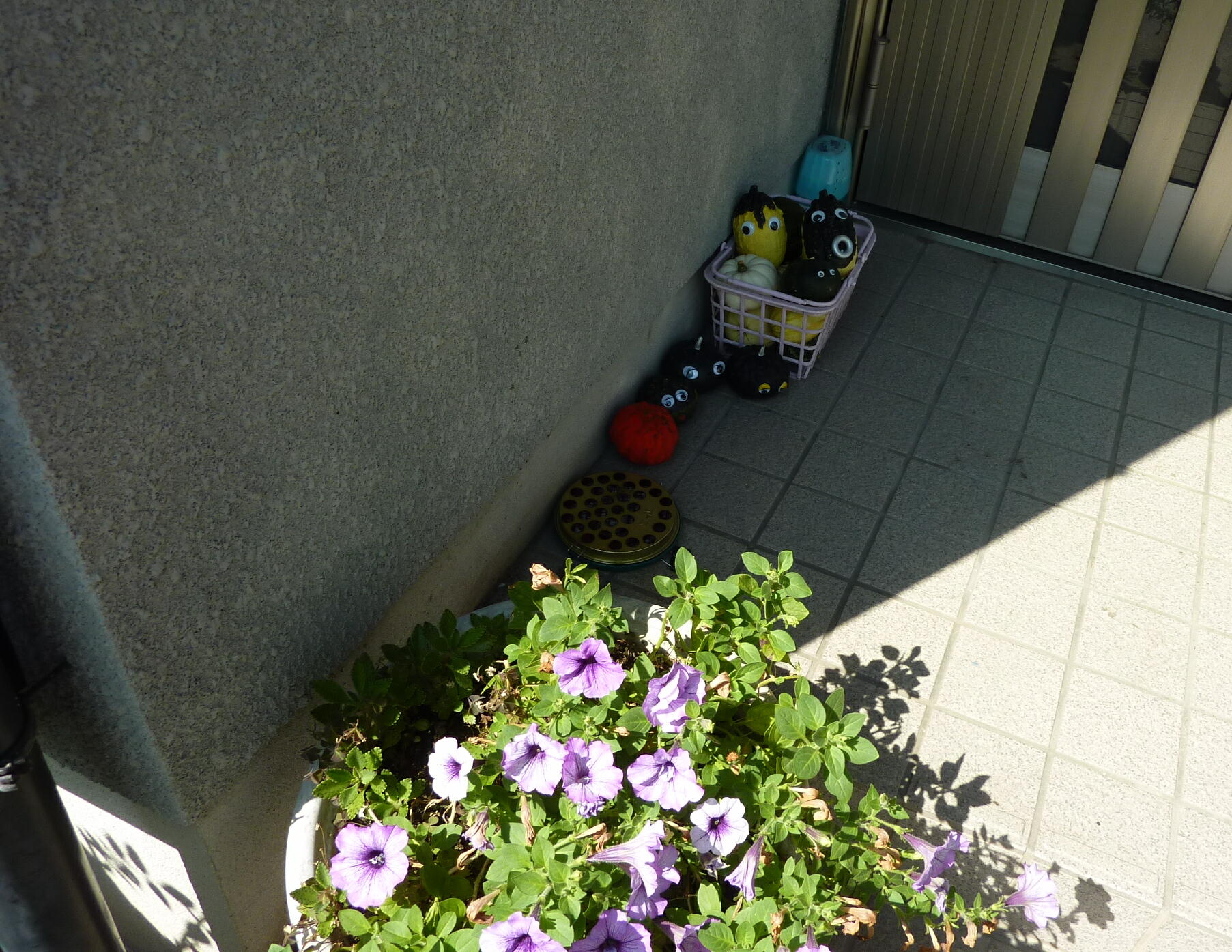 120902-kabotya-1.jpg