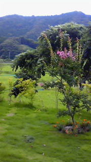 201207151617001.jpg