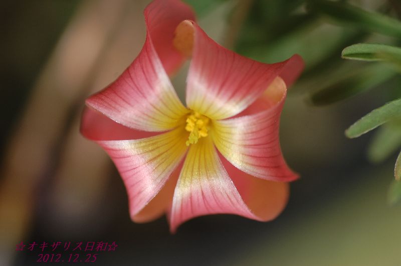 DSC_5540.JPG