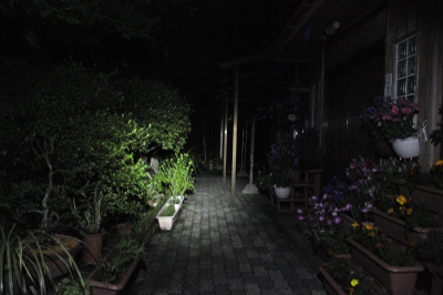 写真00003.jpg