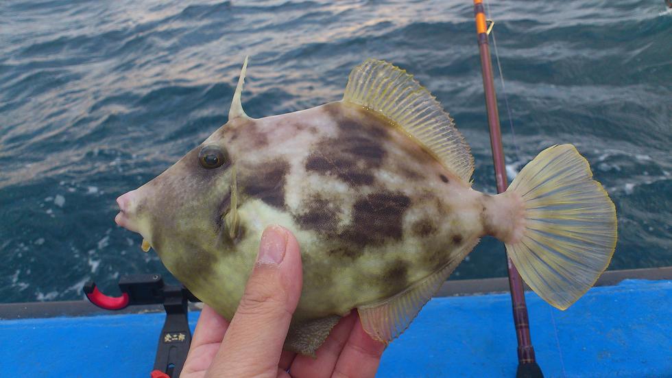 2012-12-01 07.48.15.jpg