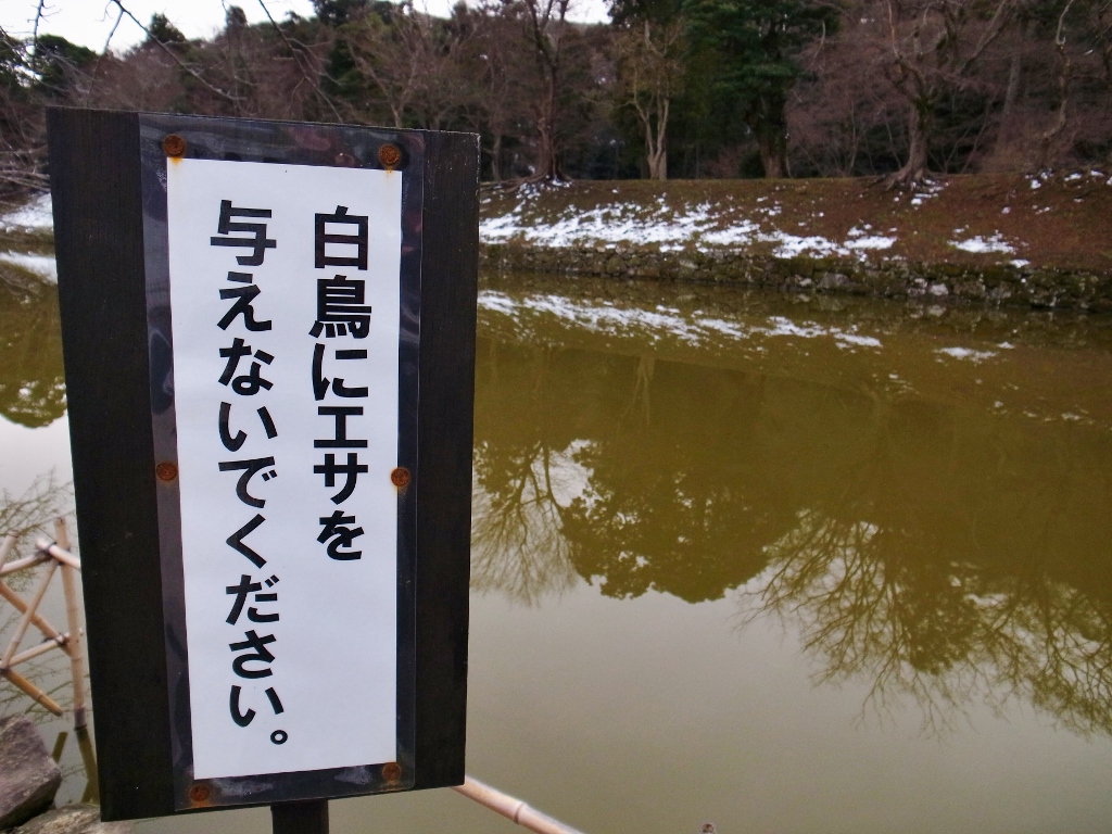 R0050469 (1024x768).jpg