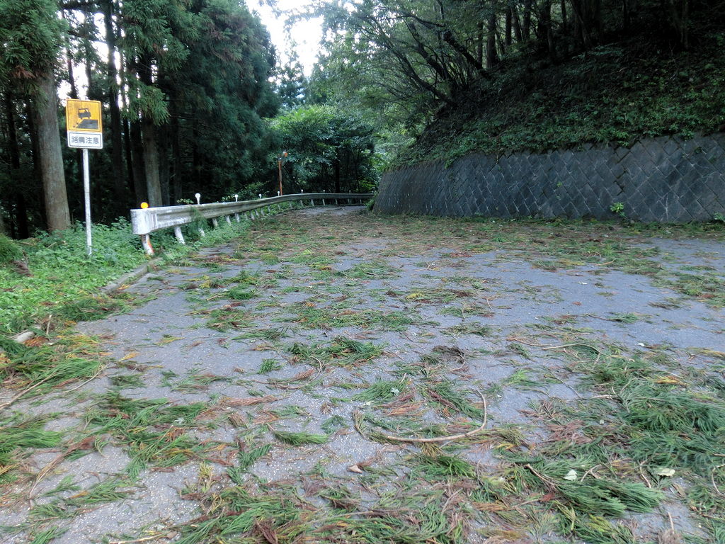 20110925-13.jpg