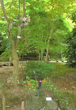 円通院みんなの花展f