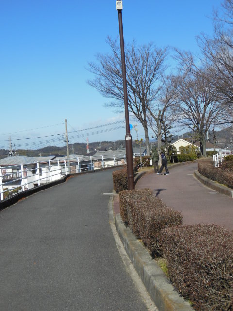 1-19 004.JPG