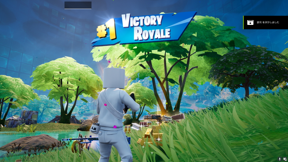 Fortnite   2025_03_21 21_08_130004.JPG