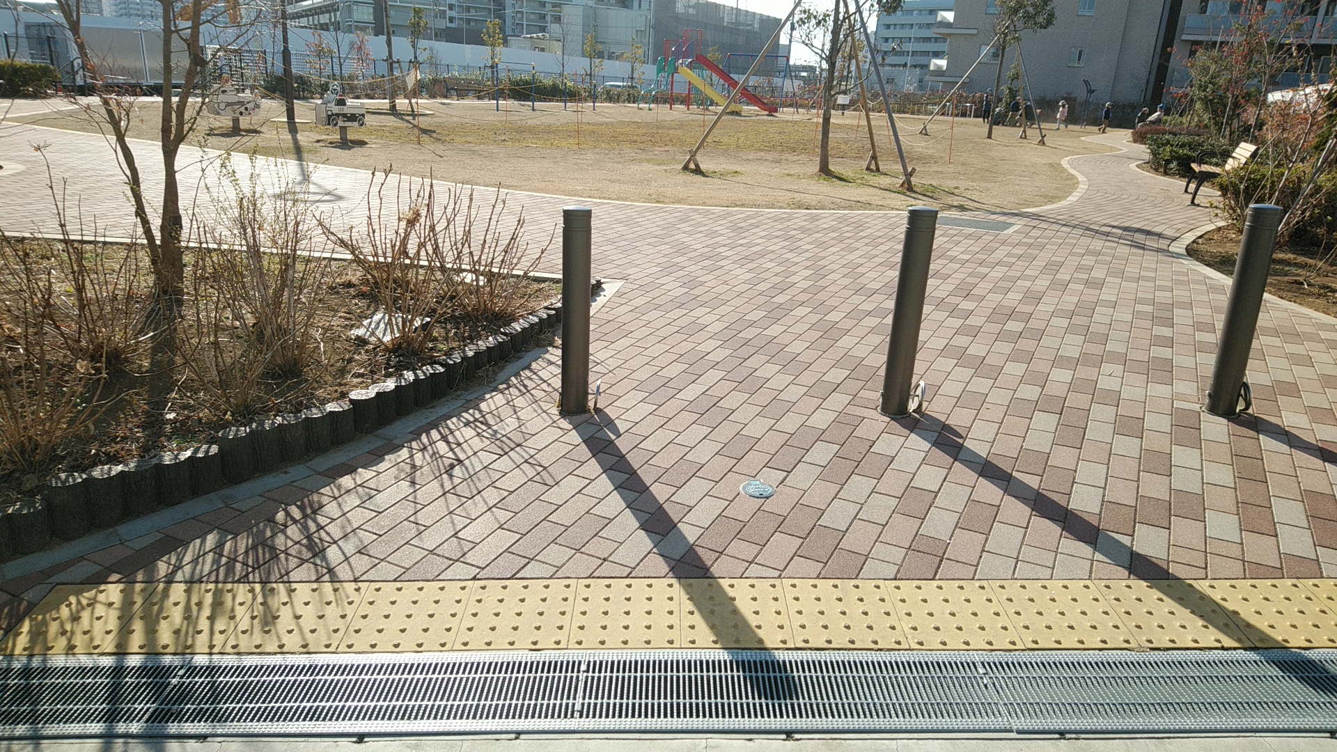 20190124  DSC_0002.jpg.jpg