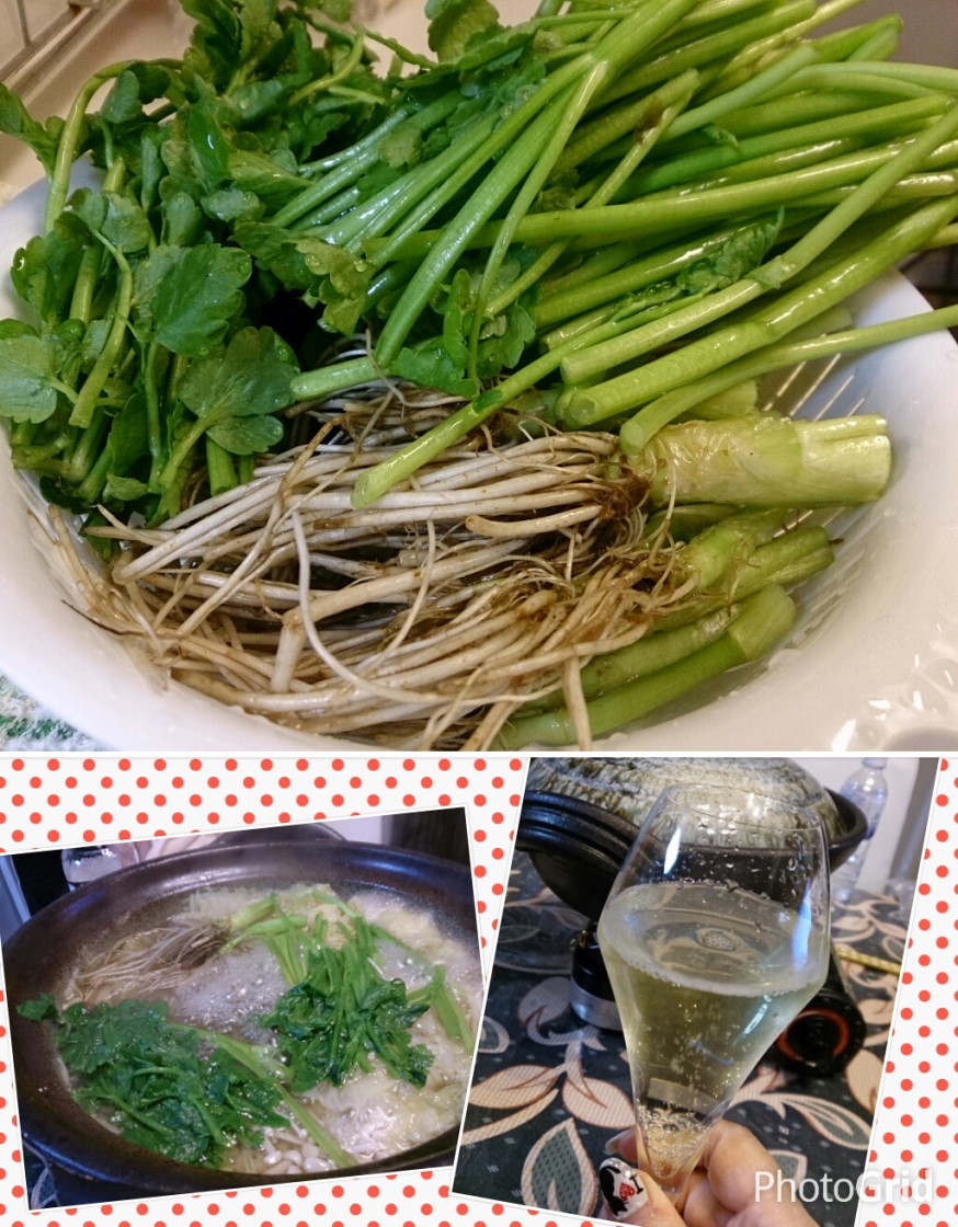 PhotoGrid_1456068717999.JPG