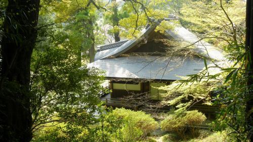 弘川寺・本堂(V.2012_04_17__07_49_37).jpg