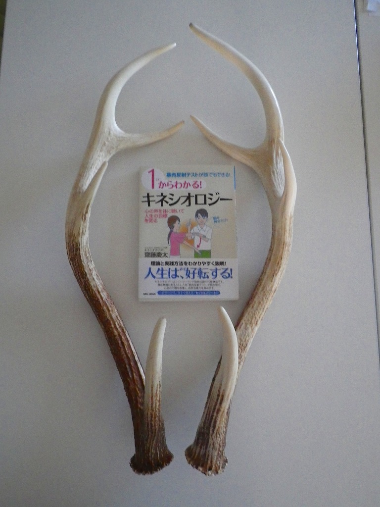 IMGP0955.jpg