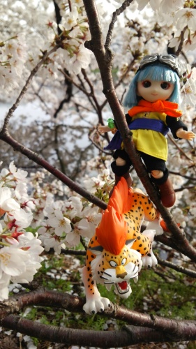 セラフィ09