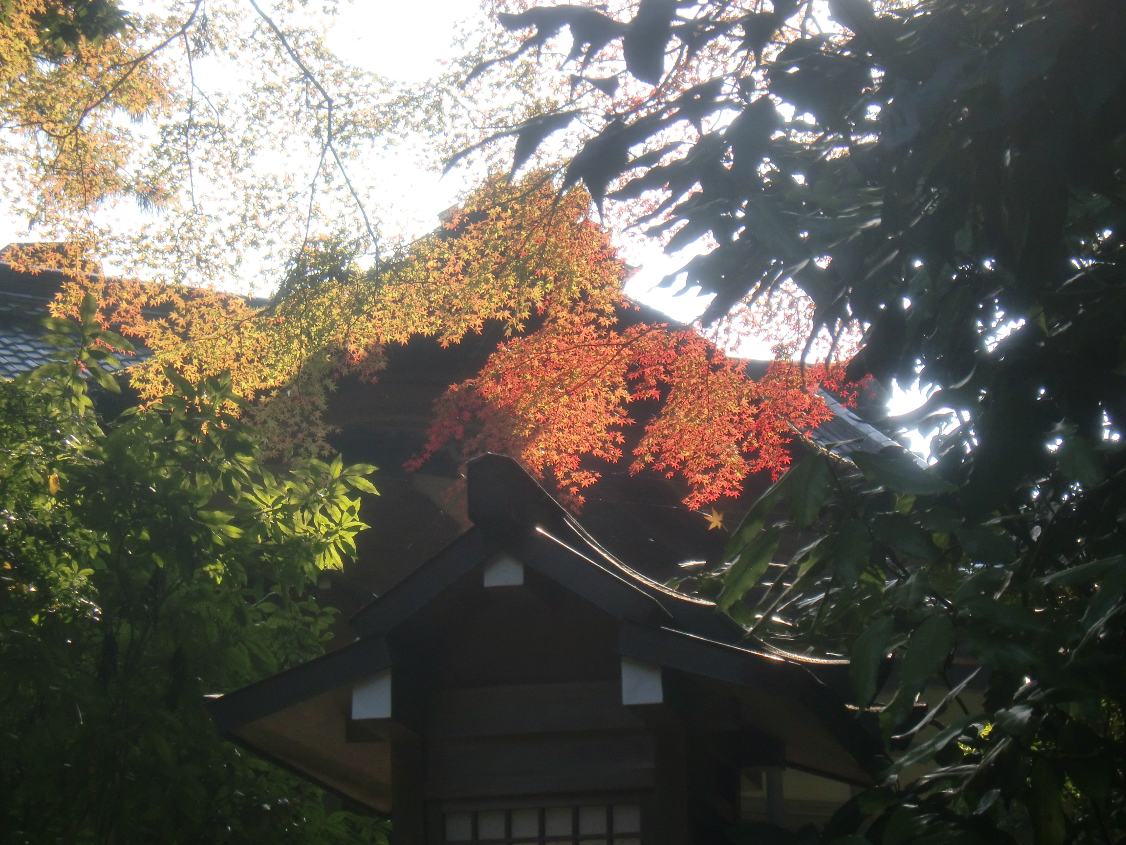 大神神社
