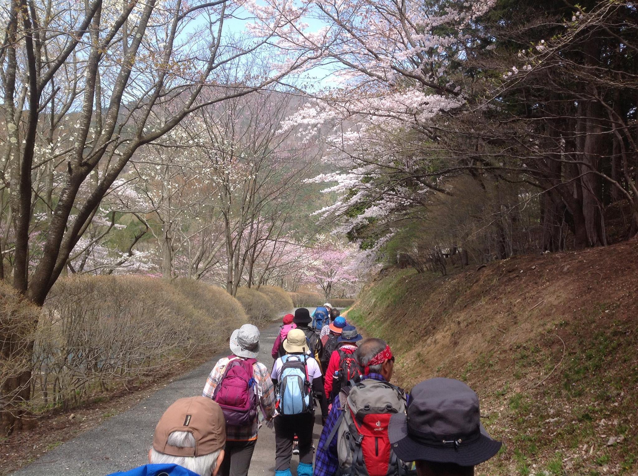 半田山１.jpg
