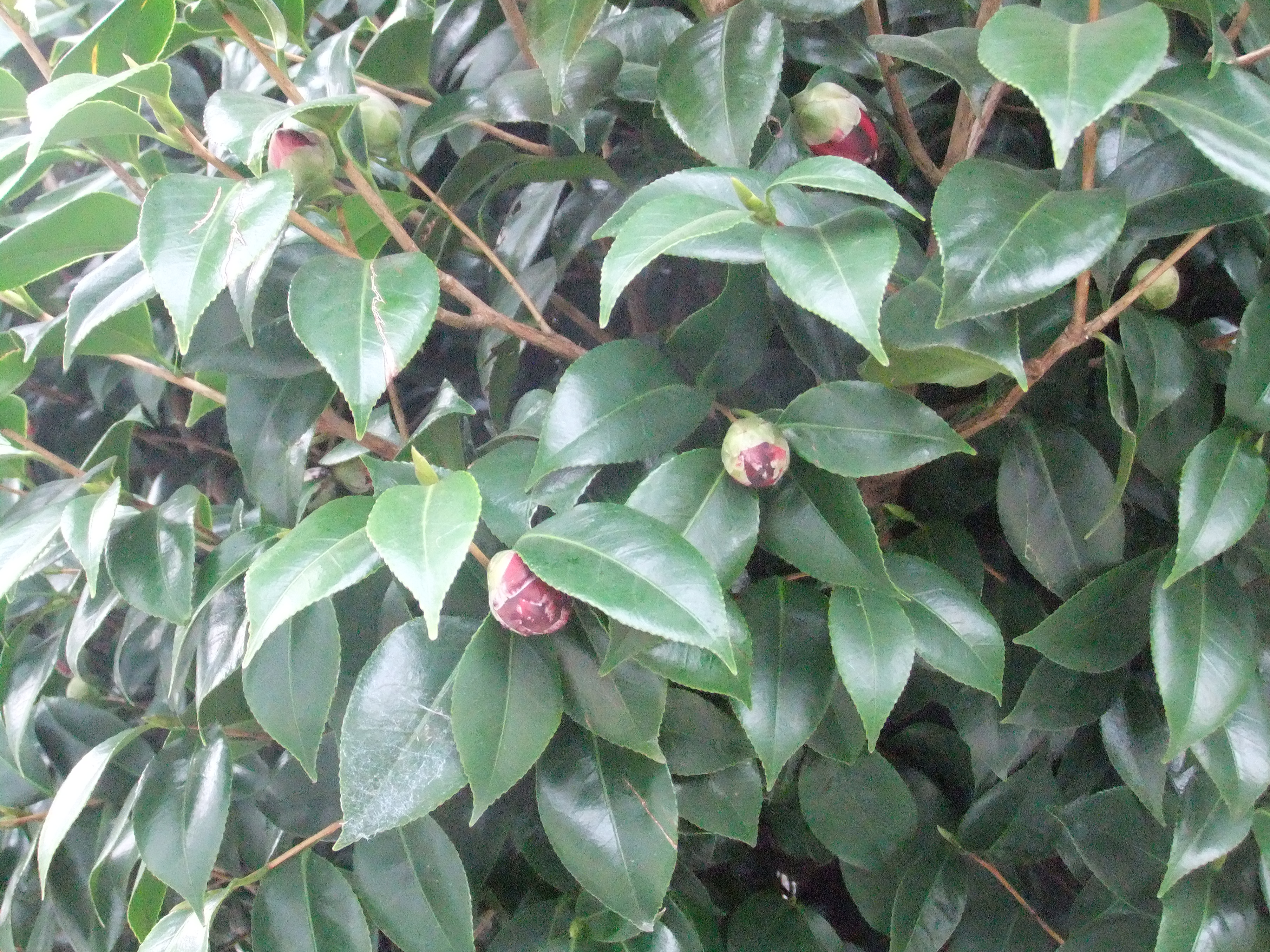 DSCF6957.JPG