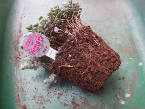 2015-06-05 15.47.00.jpg