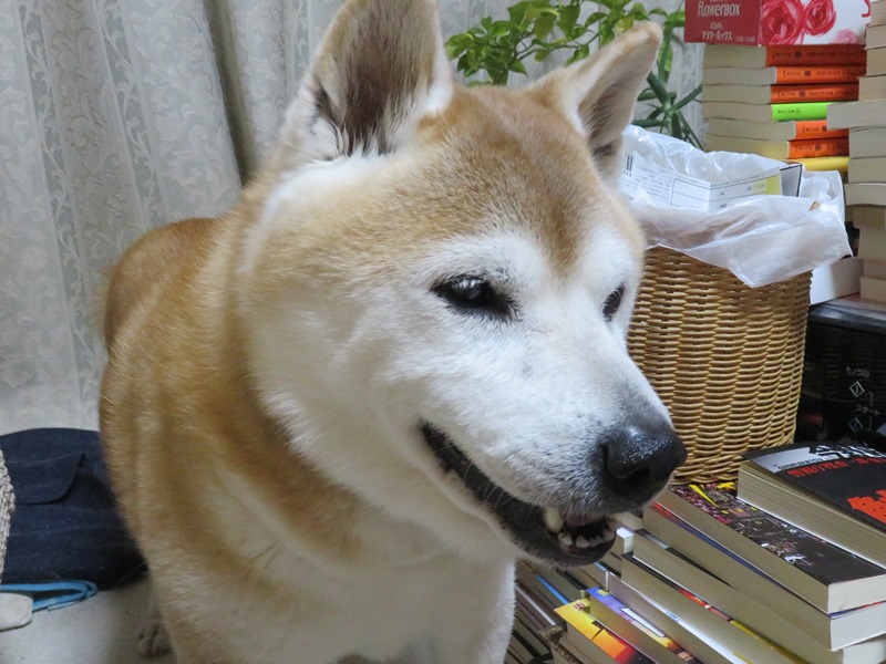 3ふんふん.jpg