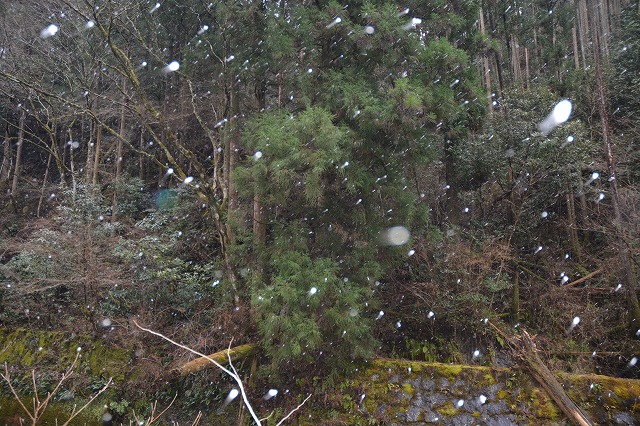 showPhoto (640×426)